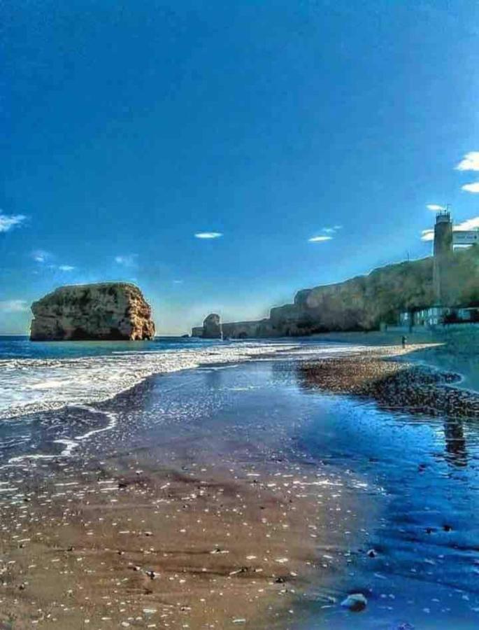 Cosy Haven South Shields Exterior foto