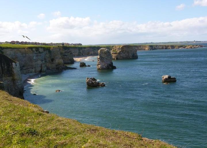 Cosy Haven South Shields Exterior foto
